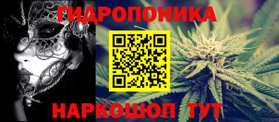apvp Кунгур